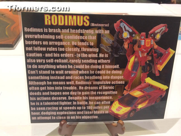 BotCon 2014 Transformers Art Show  (71 of 185)